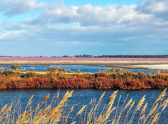 Aigues Mortes
