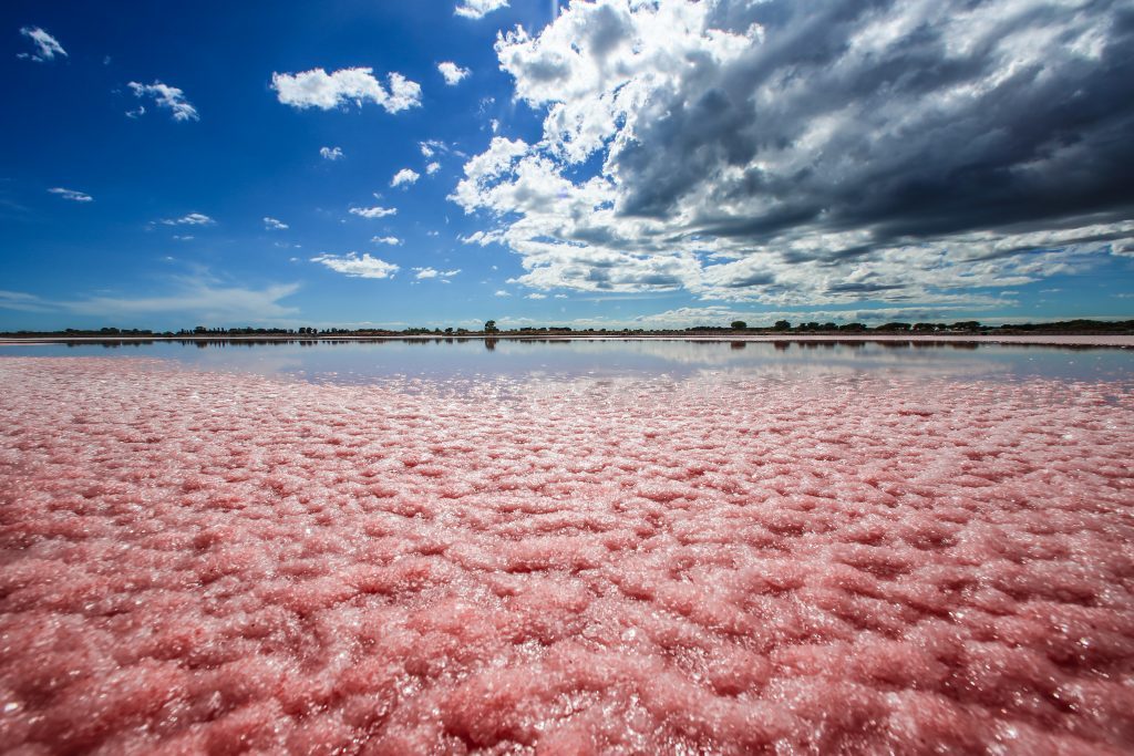 saline aigues mortes